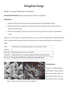 Kingdom Fungi  Molds, Sac Fungi, Mushrooms, and Lichens  Essential Question(s): Objectives:  
