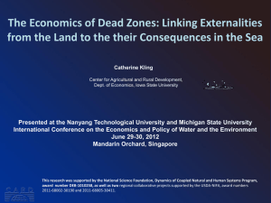 The Economics of Dead Zones: Linking Externalities