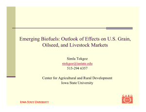 Emerging Biofuels: Outlook of Effects on U.S. Grain, Simla Tokgoz 515-294 6357