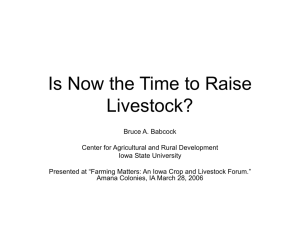 Is Now the Time to Raise Livestock?