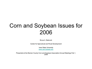Corn and Soybean Issues for 2006