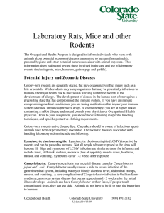 Laboratory Rats, Mice and other Rodents