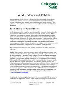 Wild Rodents and Rabbits