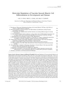 Molecular Regulation of Vascular Smooth Muscle Cell