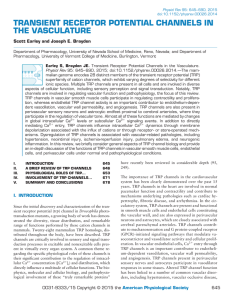 TRANSIENT RECEPTOR POTENTIAL CHANNELS IN THE VASCULATURE