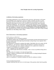 Some Thoughts about the Learning Organization
