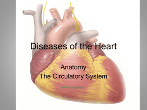 Diseases of the Heart Anatomy The Circulatory System