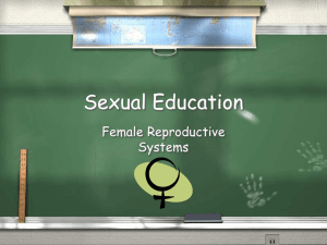 Sexual Education Female Reproductive Systems