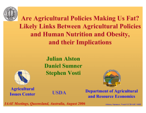 Are Agricultural Policies Making Us Fat? Likely Links Between Agricultural Policies