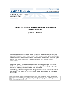 Outlook for Ethanol and Conventional Biofuel RINs in 2013 and 2014