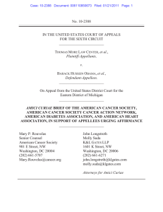 No. 10-2388 IN THE UNITED STATES COURT OF APPEALS ________________________