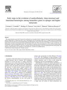 Early steps in the evolution of multicellularity: deep structural and