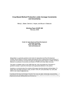 Crop-Based Biofuel Production under Acreage Constraints and Uncertainty