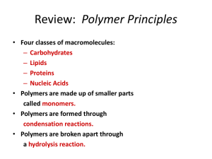 Polymer Principles