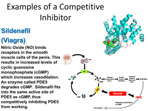 Examples of a Competitive Inhibitor Sildenafil (Viagra)