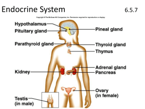 Endocrine System 6.5.7