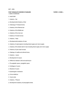 ENT - (MS) I. BASIC SCIENCES A. ANATOMY 1. Anatomy - Ear