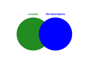 sockets file descriptors 1