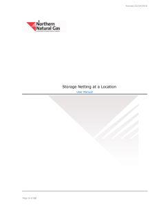 Storage Netting at a Location User Manual