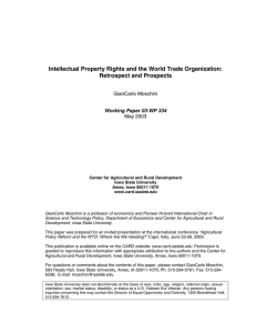 Intellectual Property Rights and the World Trade Organization: Retrospect and Prospects