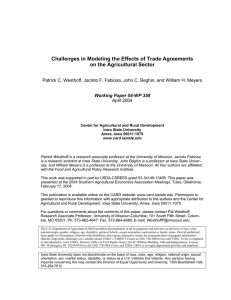 Challenges in Modeling the Effects of Trade Agreements