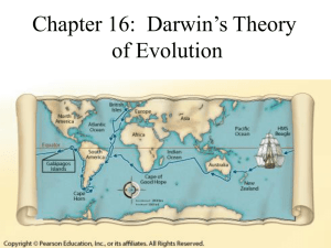 Chapter 16:  Darwin’s Theory of Evolution