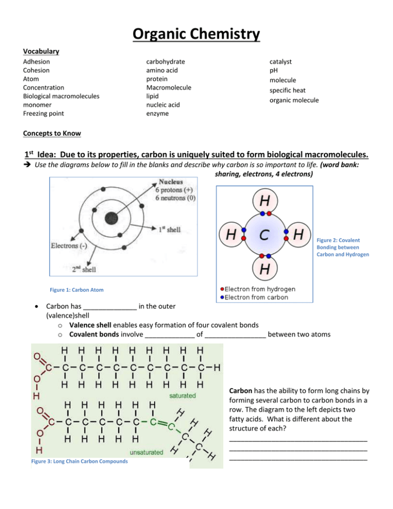 organic-chemistry-vocabulary