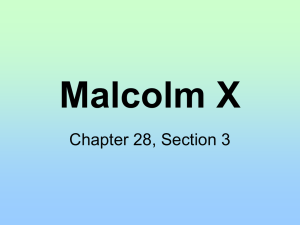Malcolm X Chapter 28, Section 3