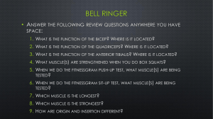 BELL RINGER • A :