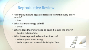 Reproductive Review