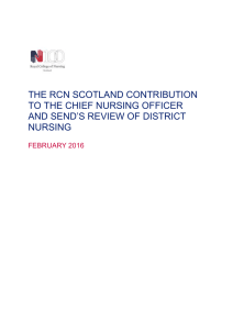 THE RCN SCOTLAND CONTRIBUTION TO THE CHIEF NURSING OFFICER