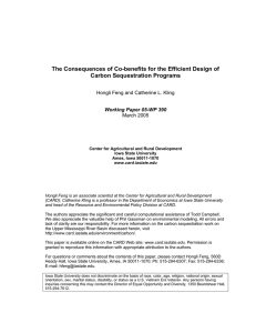 The Consequences of Co-benefits for the Efficient Design of