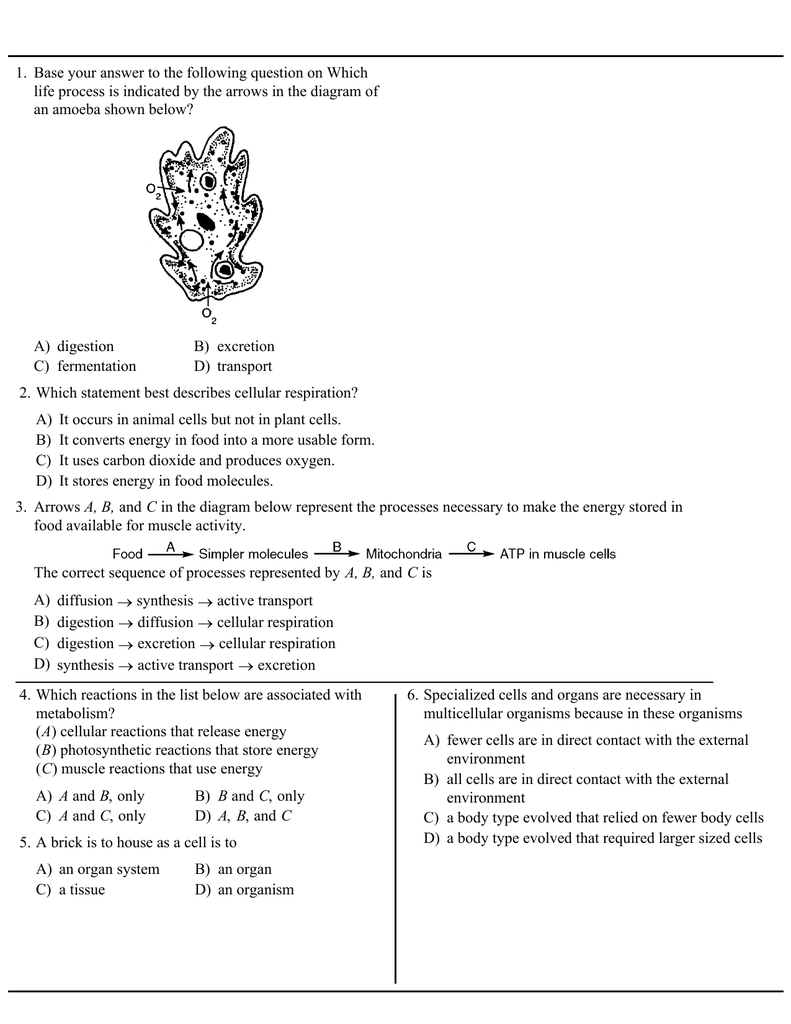 1-base-your-answer-to-the-following-question-on-which