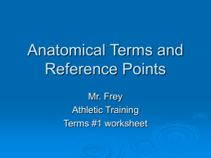 Anatomical Terms and Reference Points Mr. Frey Athletic Training