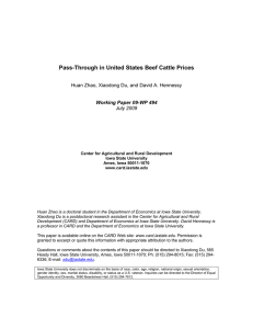 Pass-Through in United States Beef Cattle Prices  Working Paper 09-WP 494