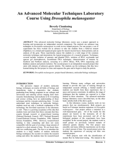 An Advanced Molecular Techniques Laboratory Drosophila melanogaster Beverly Clendening