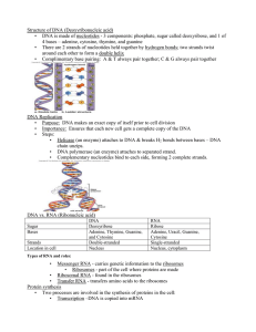 Structure of DNA (Deoxyribonucleic acid)