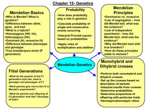 Chapter 15- Genetics Mendelian Mendelian Basics Principles