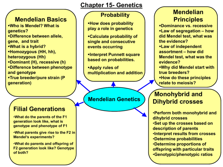 Chapter 15 Genetics Mendelian Mendelian Basics Principles 4295