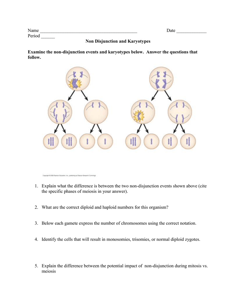 Name Date ______ Period ______ Non Disjunction and Karyotypes Regarding Biology Karyotype Worksheet Answers Key