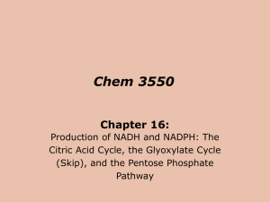 Chem 3550 Chapter 16:
