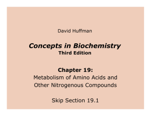 Concepts in Biochemistry Chapter 19: Metabolism of Amino Acids and Other Nitrogenous Compounds