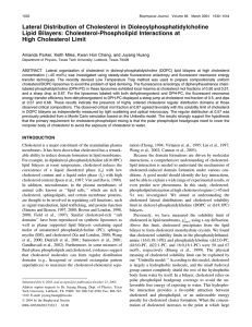 Lateral Distribution of Cholesterol in Dioleoylphosphatidylcholine Lipid Bilayers: Cholesterol-Phospholipid Interactions at