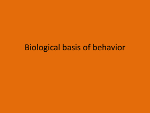 Biological basis of behavior
