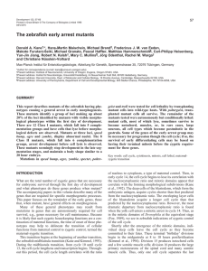 57 This report describes mutants of the zebrafish having phe- geist