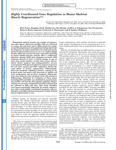 Highly Coordinated Gene Regulation in Mouse Skeletal Muscle Regeneration* □