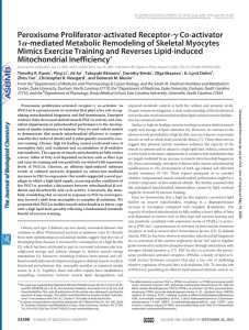 Peroxisome Proliferator-activated Receptor- 1 Mimics Exercise Training and Reverses Lipid-induced Mitochondrial Inefficiency