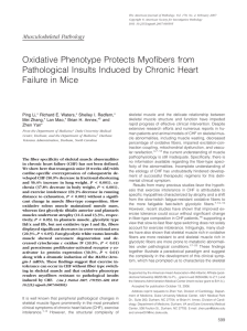 Oxidative Phenotype Protects Myofibers from Pathological Insults Induced by Chronic Heart