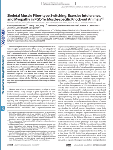 Skeletal Muscle Fiber-type Switching, Exercise Intolerance, and Myopathy in PGC-1 *