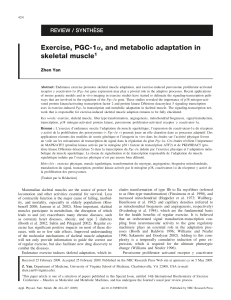 Exercise, PGC-1 skeletal muscle REVIEW / SYNTHE`SE 1